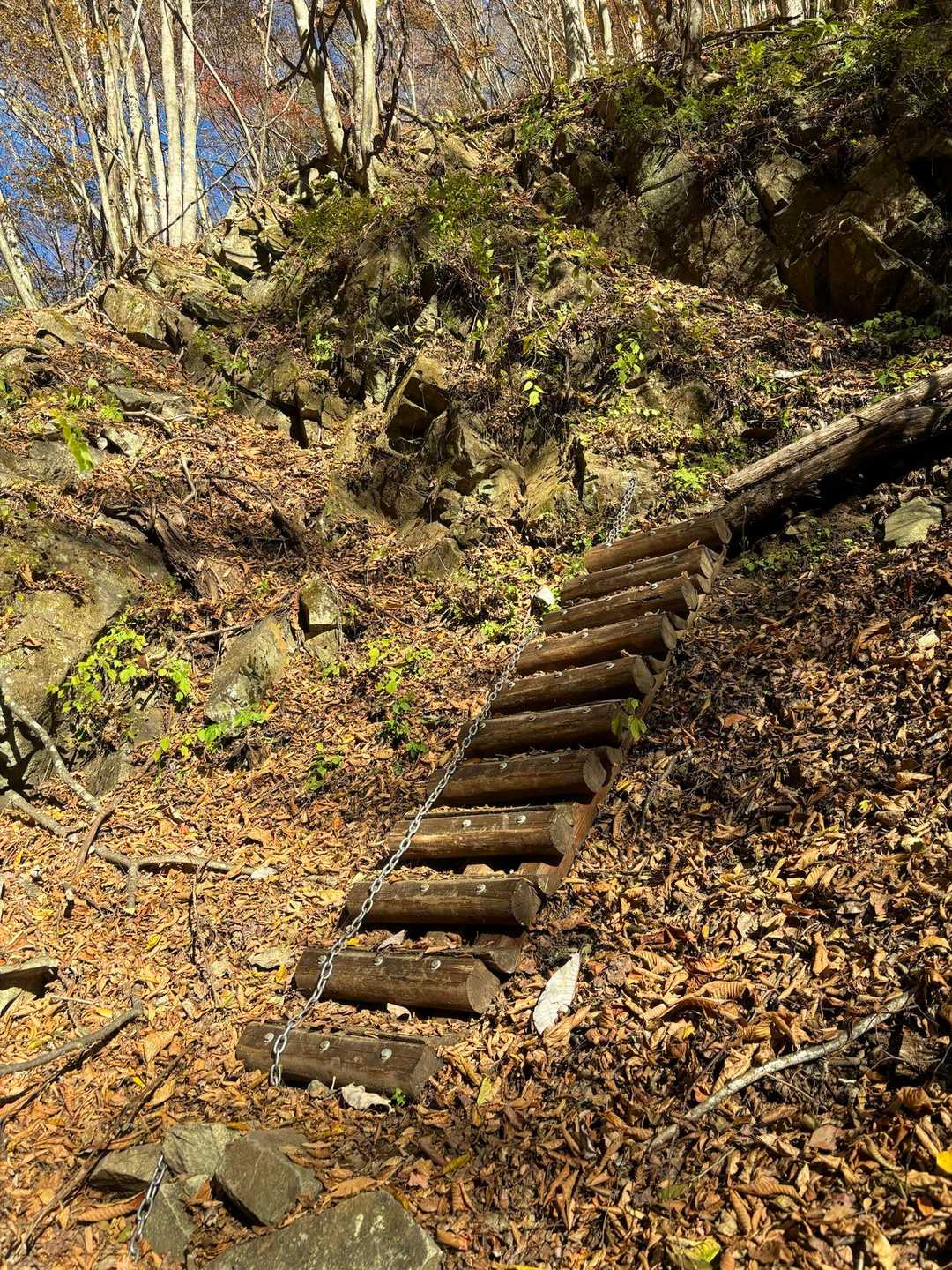 南天山登山口-南天山 往復コースの写真