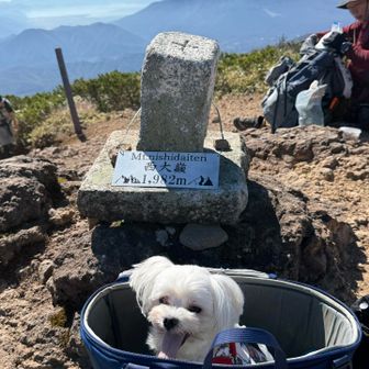 西大嶺山頂で