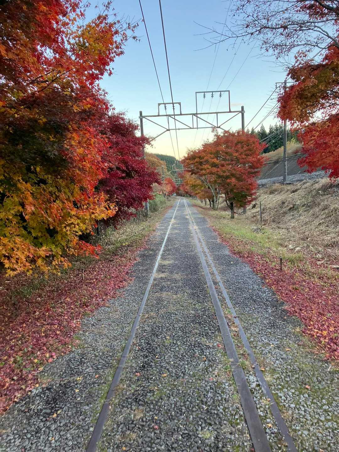 アプトの道はまだ見頃
