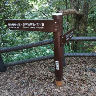 分岐