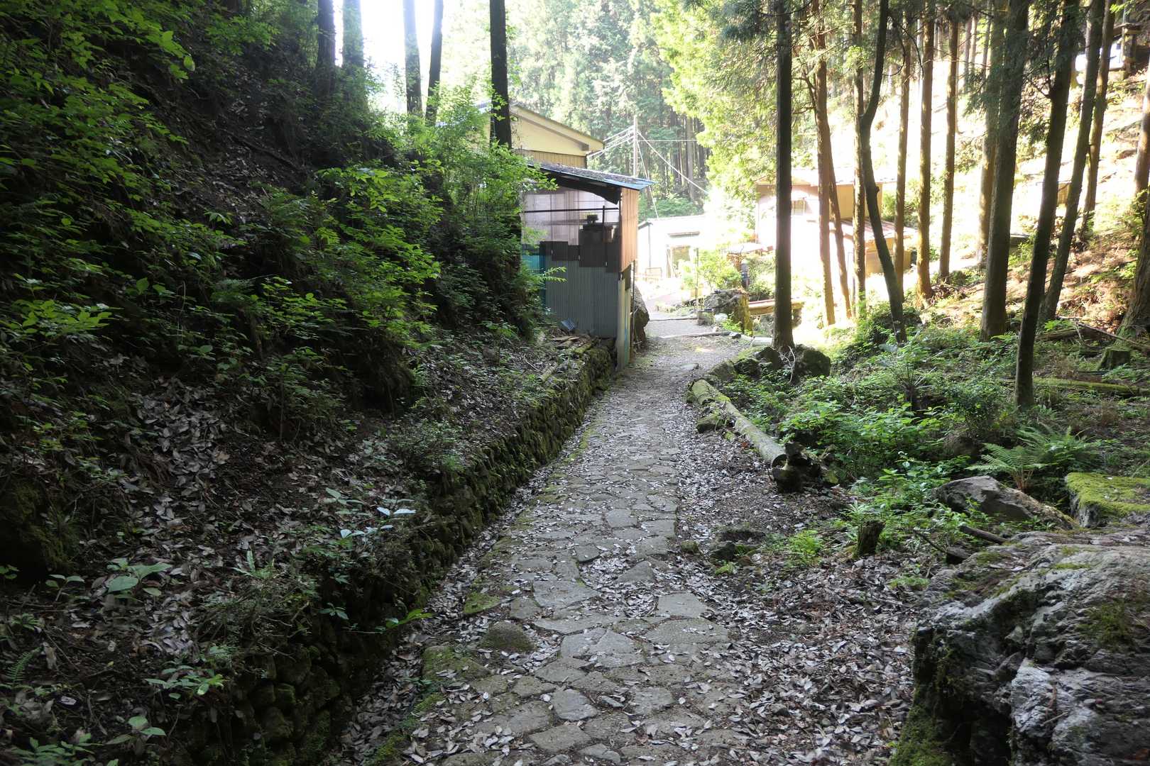 人家がある舗装路まできました。