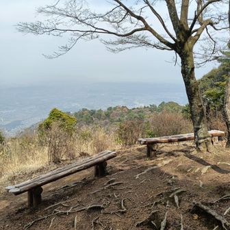 ベンチの間に登山道らしき道が