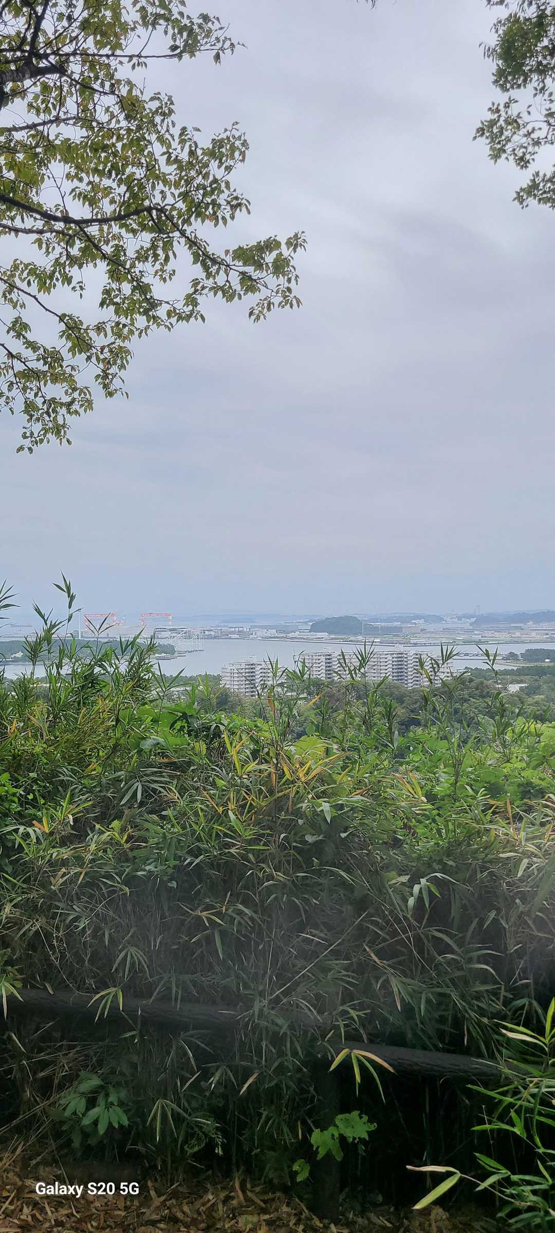 八角堂休憩所からは横須賀や房総半島も見えました😊