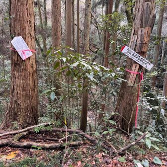オフロードバイクのタイヤ痕や、
イノシシの掘った痕を見ながら歩いていたら
ありました❣️

葛城修験 第五経塚 遥拝所
『倉谷山 薬草喩品』
（くらたにやま やくそうゆほん）