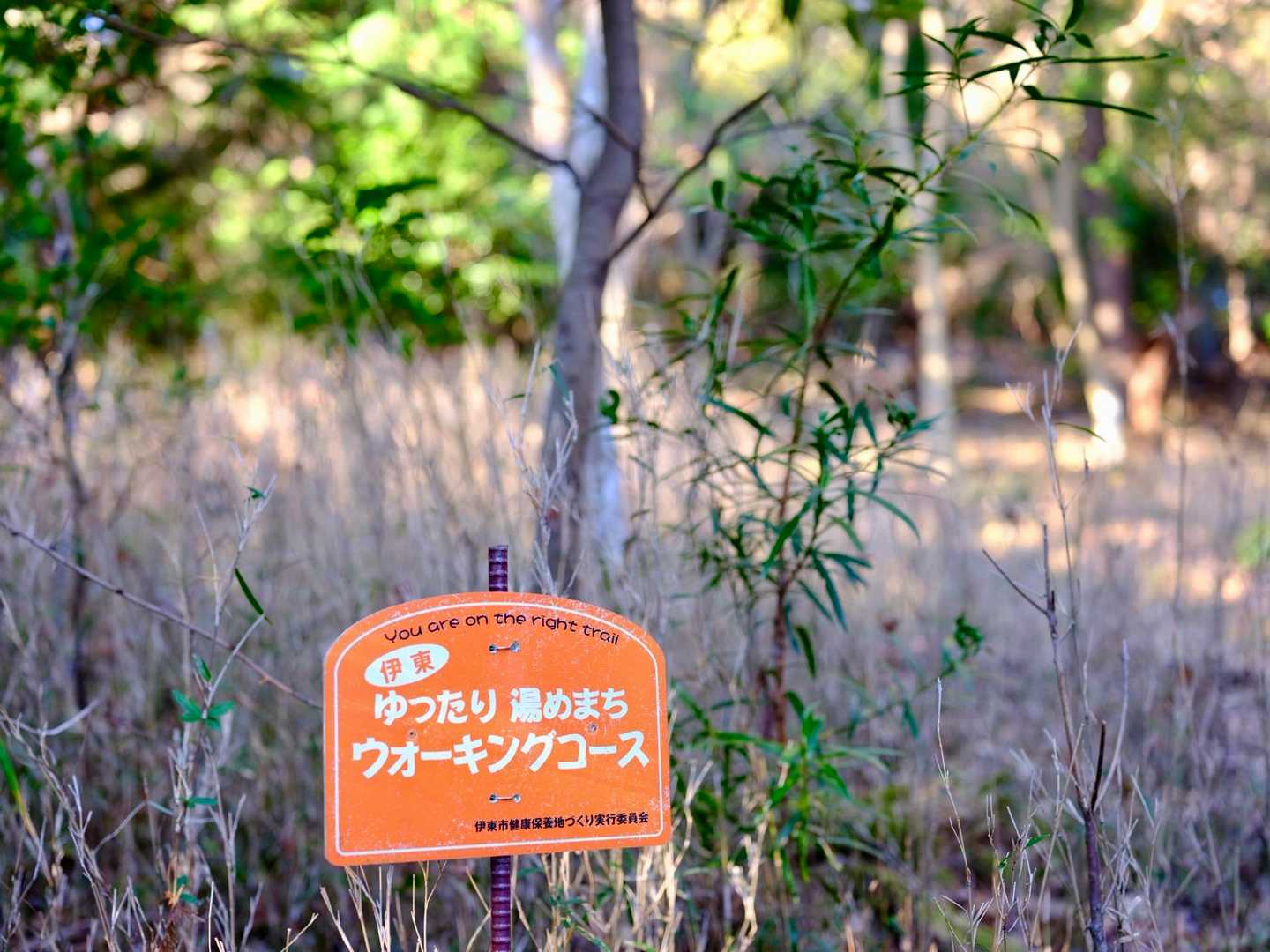 ゆったり湯めまち。このサインがものすごく沢山出てきます。5分に一回くらい