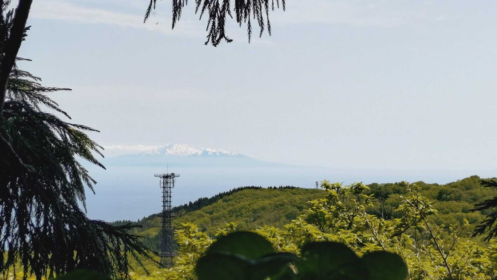 真山登山道入口-真山-本山 往復コースの写真
