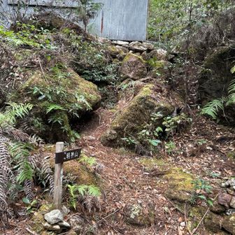 ありがとうございました🙏