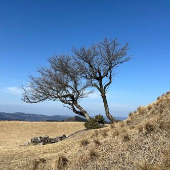 空がブルー🩵お日様ありがとう