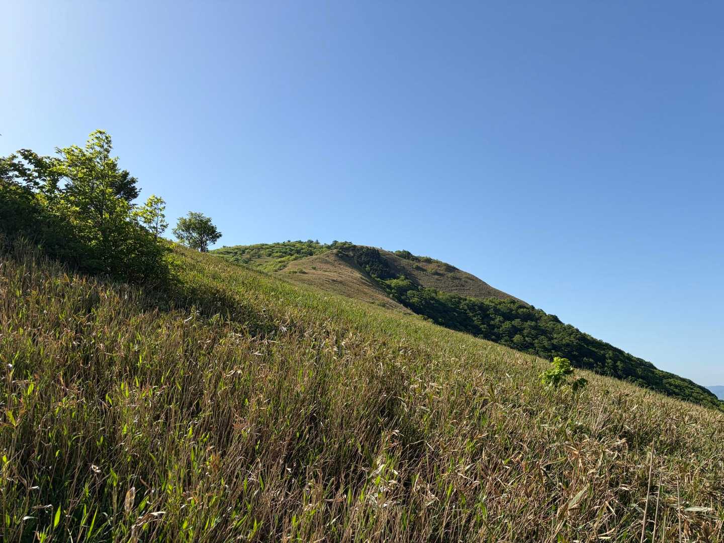 振り返り中蒜山⛰️