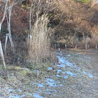 雪が残ってる😨