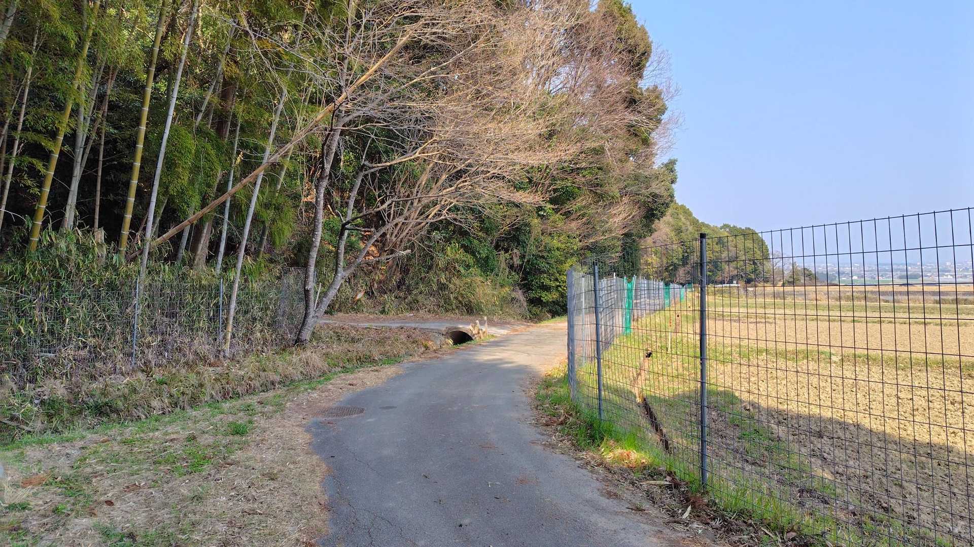 ここを左に入って浄眼寺へ戻る