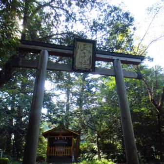 湯峯王子