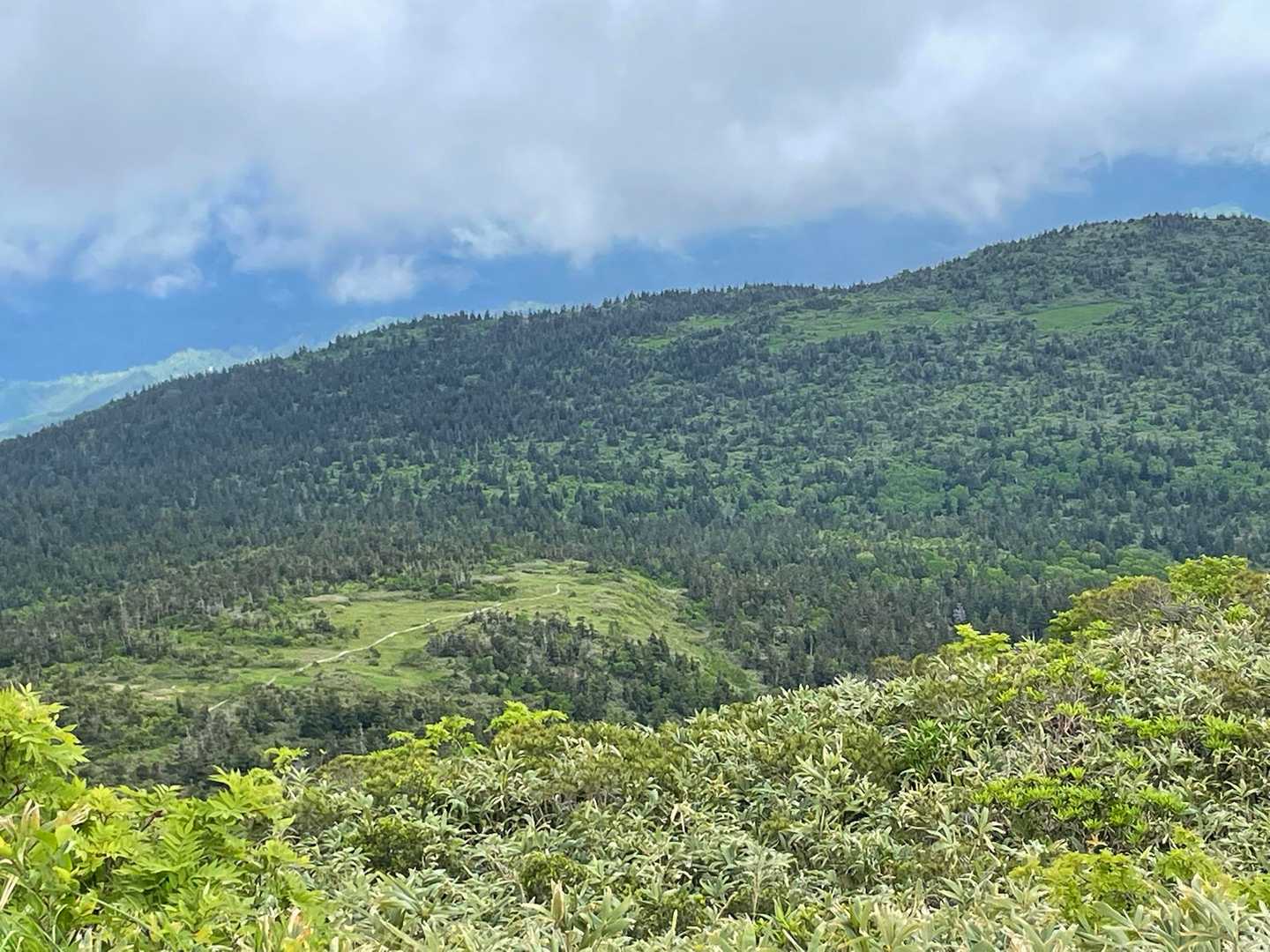 山頂を越えて　降りて行くと　お花畑の山人平
写真真ん中辺り　山人平に伸びる木道が見えています