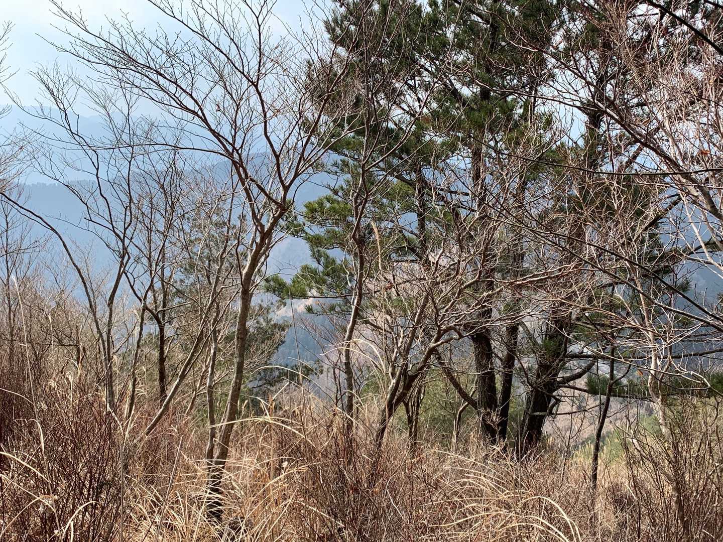 下山開始