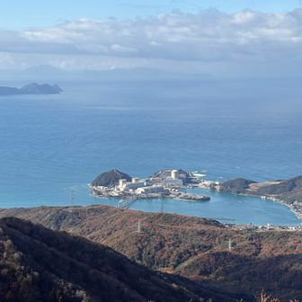 もちろんアップで📸