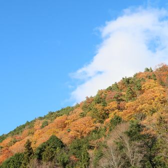 山が～燃える～