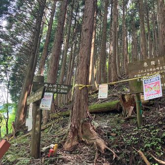 雨山峠への道は立ち入り禁止
