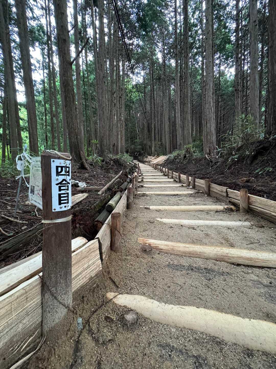 千早本道コースの写真