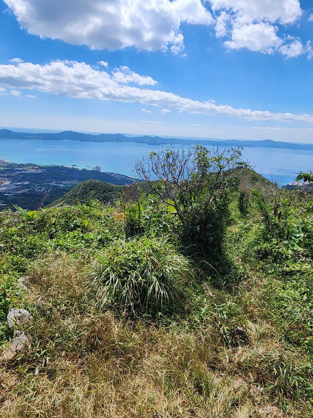 安和岳 往復コースの写真
