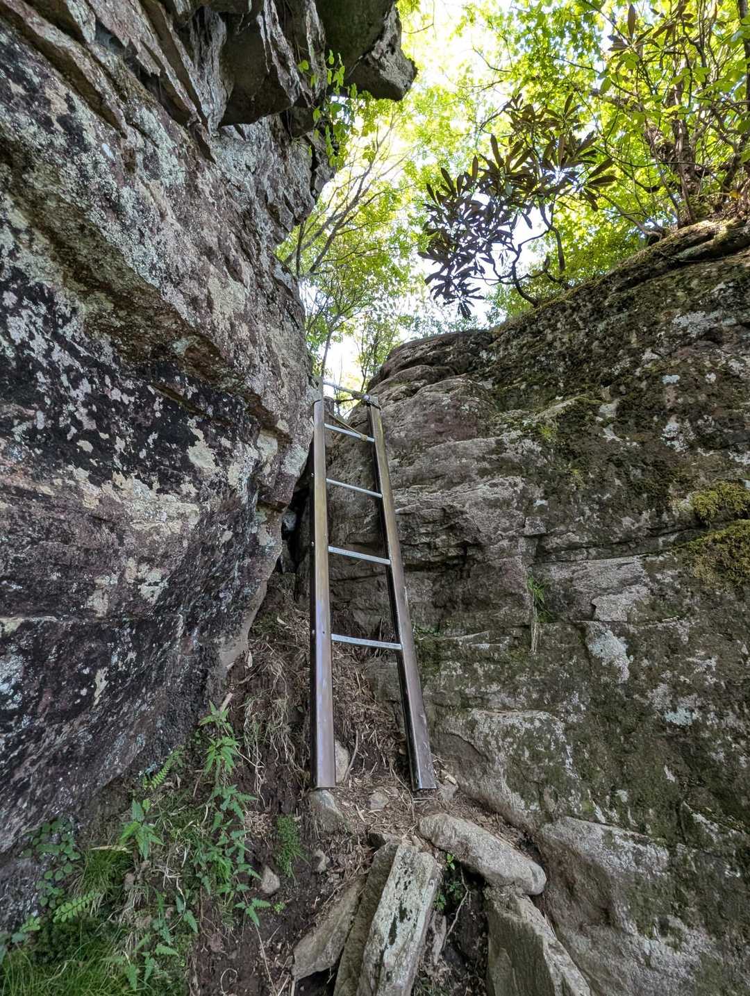 英彦山（中岳） 往復コースの写真