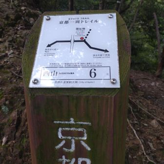 京都一周トレイル
西山　6の標識

私達は落合からきて点々‥‥コースで進みます‥🚶
