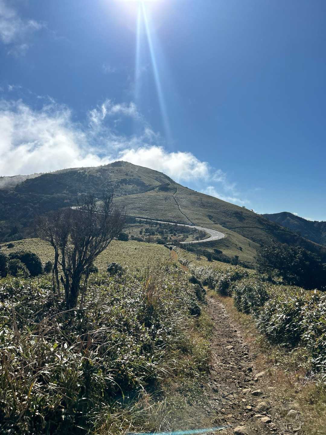 戸田峠-小達磨山-達磨山 往復コースの写真
