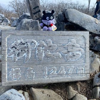 バイキンマンを撮るのを忘れてた！