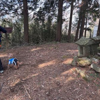 一匹はサコッシュの中です