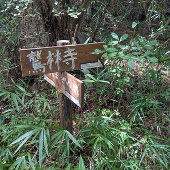 西宮になると案内表示が古い。