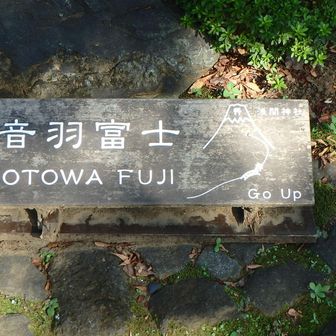 こっちです