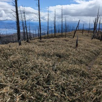 二ツ山かと思い大量の動物のフンを踏まないように行きましたが違いました。