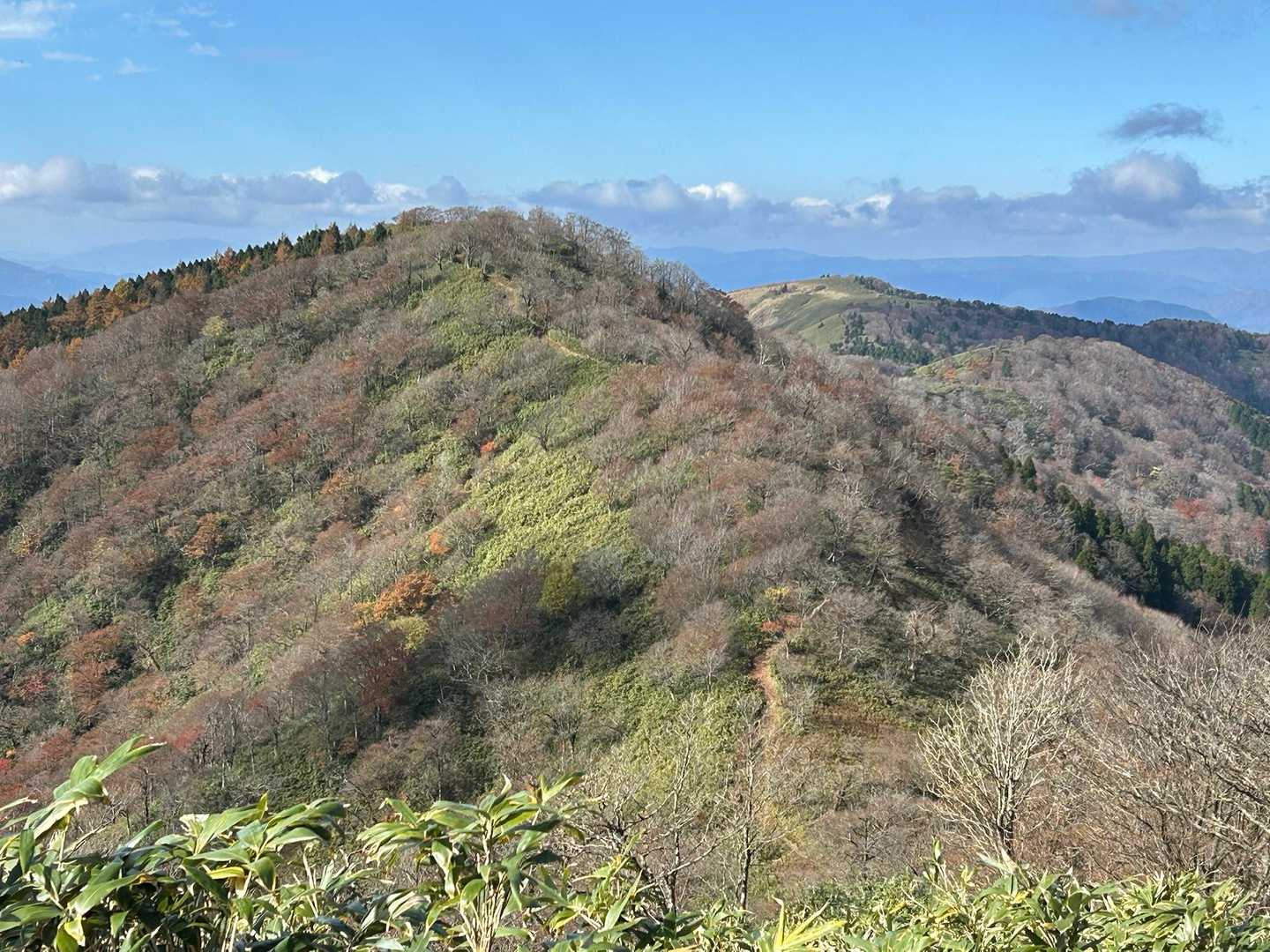 稜線に沿って下山します🎶