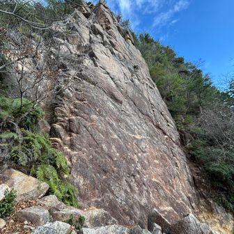 クライマーさんは、ここ登るのね🧗