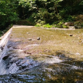最後の川の渡渉箇所まで戻って来ました🚶          渡り切ると駐車スペースです🚙🙂

今回の山行で奈良百遊山コンプリート出来ました🎉😊

何事もなく全てのお山 予定通り登ることが出来て良かったと思ってます🙂

最後までご覧いただきありがとうございました😊