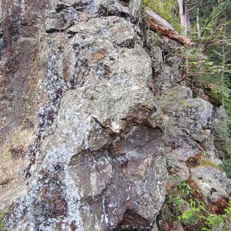 東稜見晴北面の尾根は、こんな感じの5m位の岩が何段も連なっていて、一番最初の岩以外はほぼ直登していきます
この岩は2段目か3段目あたり？