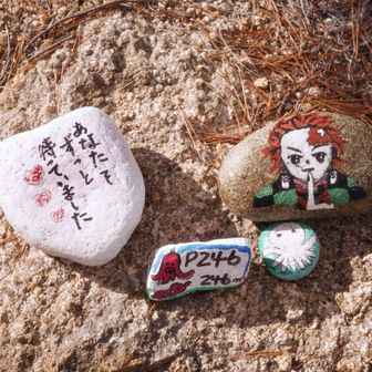 私も会いたかったの！！
こーさんと、そらまめみよしさんのかわいいワロックたち🥰