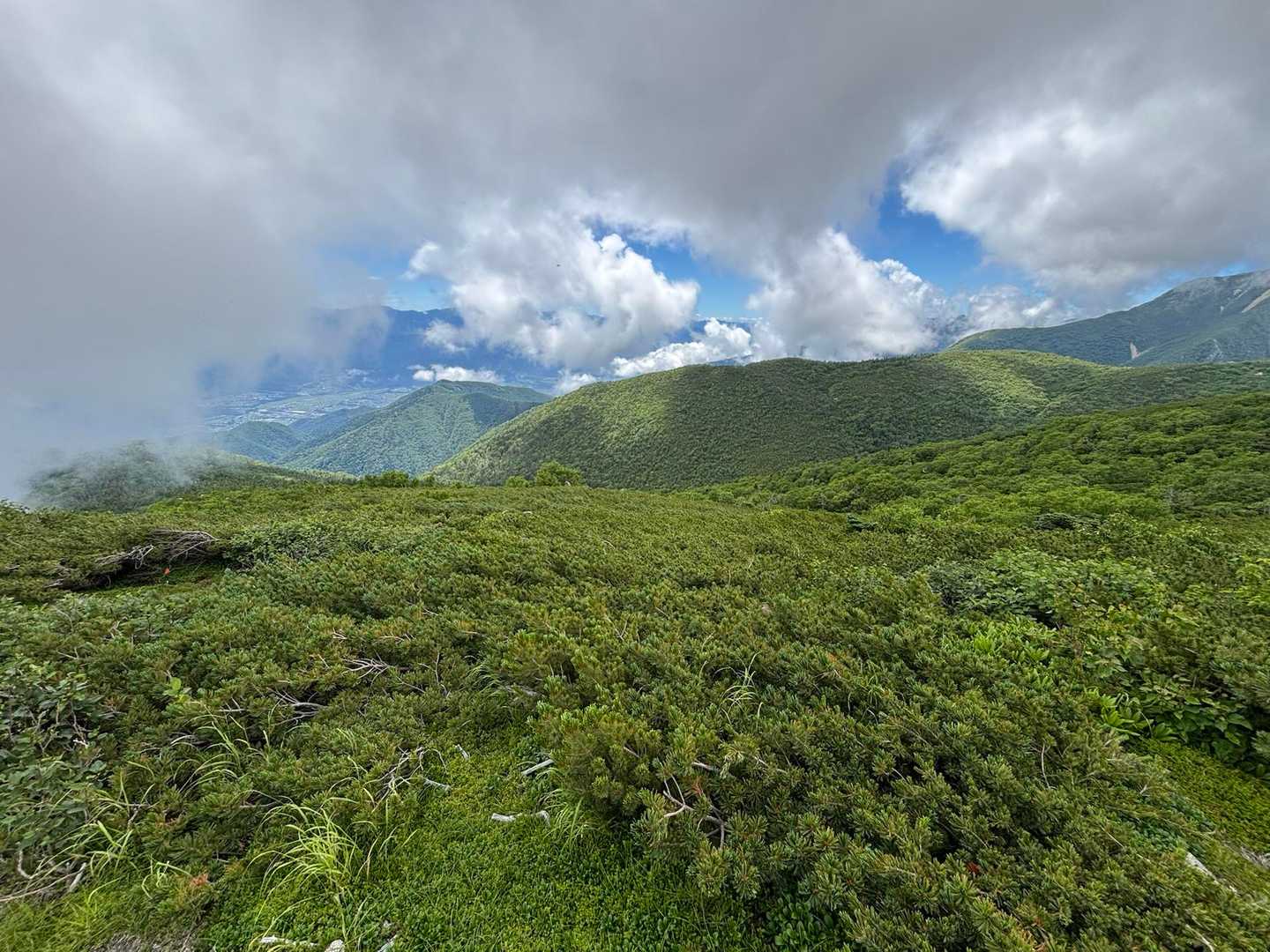 桂小場登山口-将棊頭山-将棊ノ頭-茶臼山 往復コースの写真