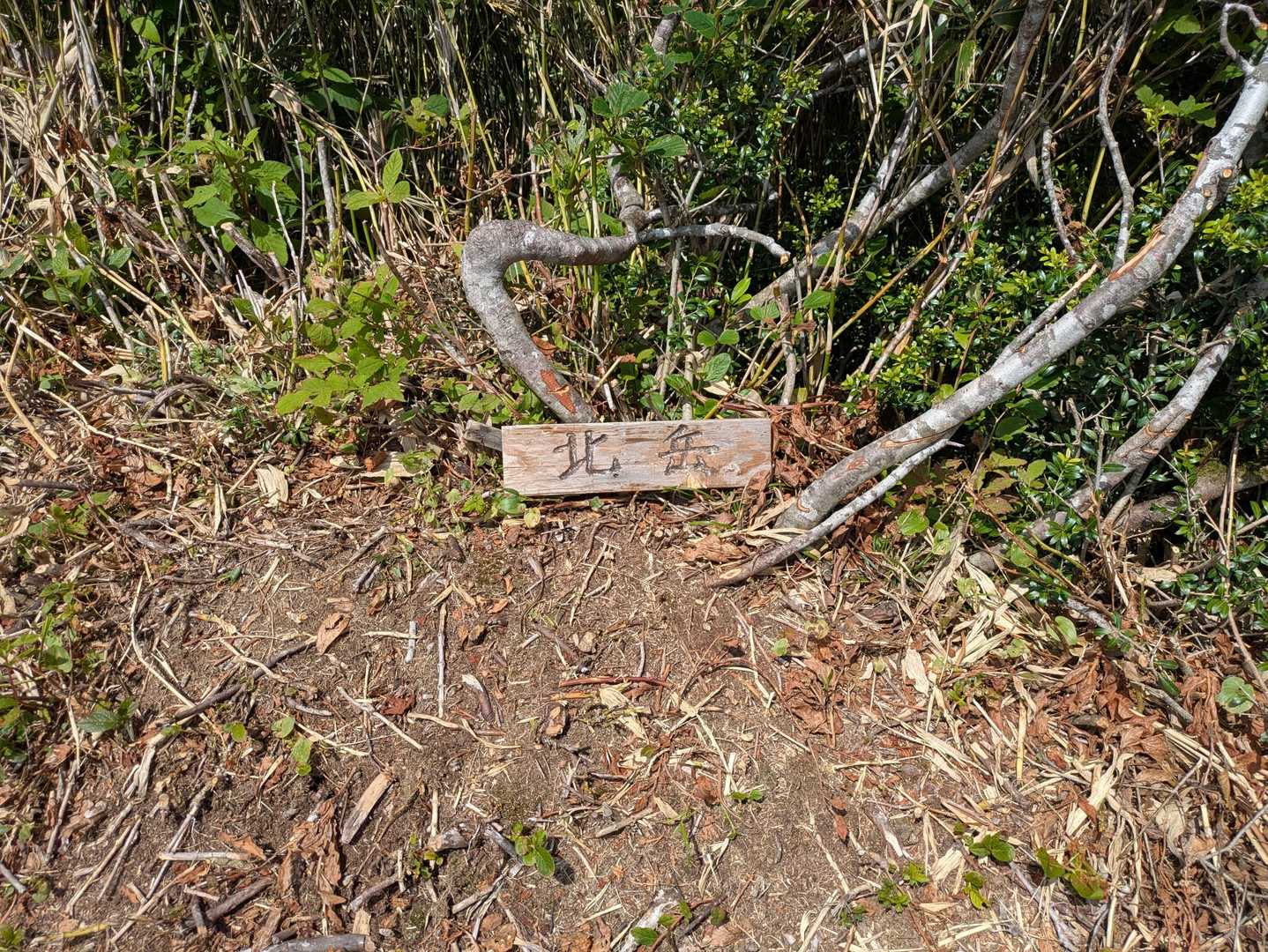 三角山-広域林道登山口-保月山-釈氏ヶ岳-中岳-経ヶ岳-北 周回コースの写真