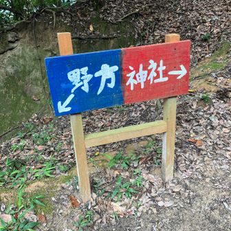 野方方面に行けば我が家が近いんだけど、未知ルートなのでソロでは自信ない