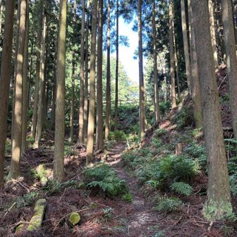 峠の駐車場が見えてきた