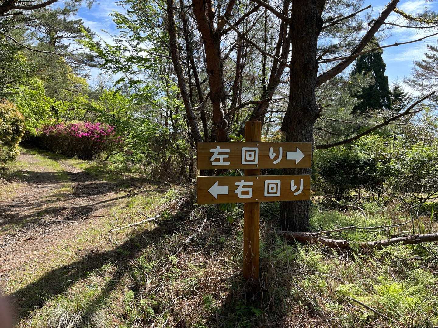 降りるとこの標識
左回りはハイキングコースの中でも大きく4キロ周回のコースのこと
私はショートコースで回りました