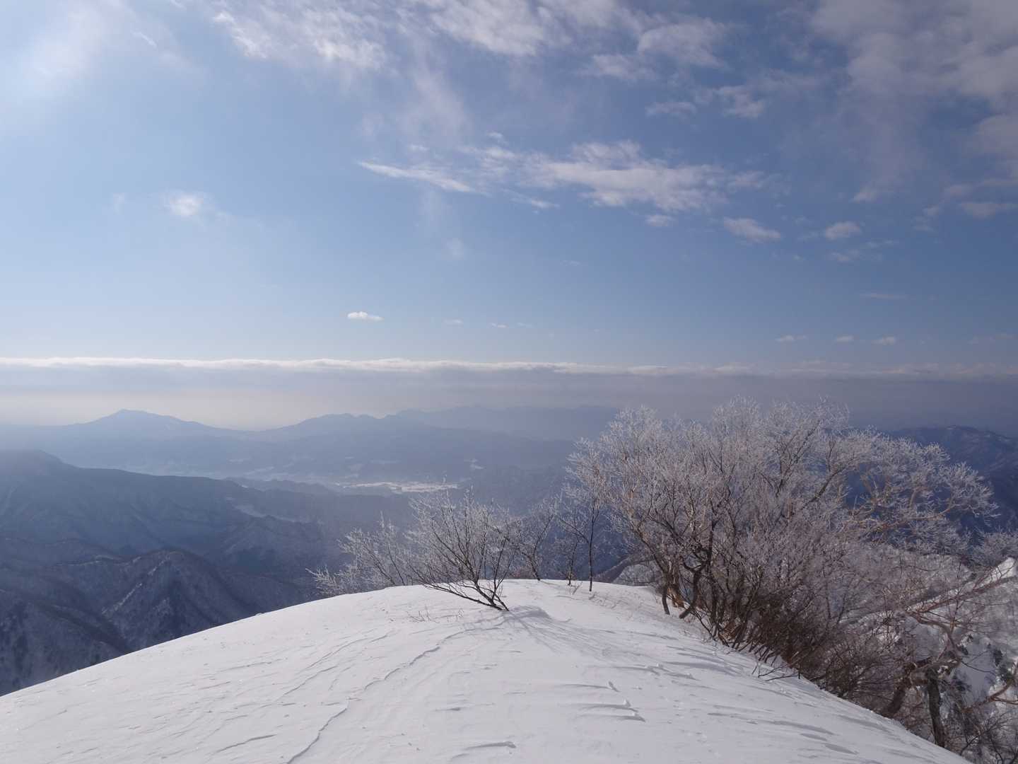 こんなに日が当たっているのに霧氷。
そして赤谷湖（あかやこ）が見える。
