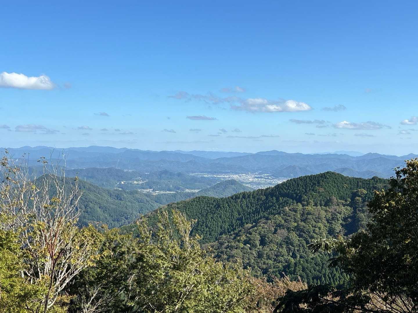 鬼ヶ城 往復コースの写真