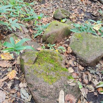 北斜面は苔石だらけ