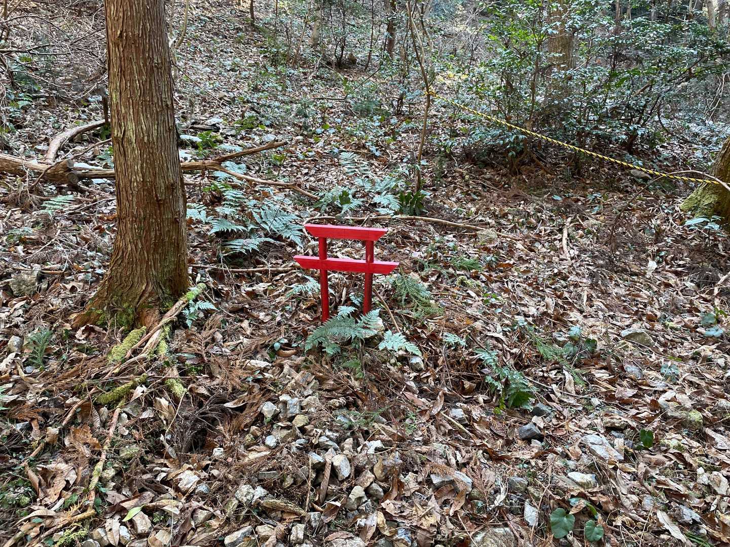 誕生山 周回コースの写真