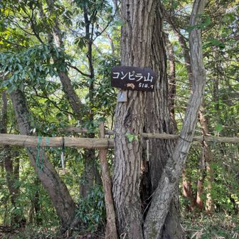 ⑩ コンピラ山、
