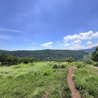 気持ちの良い草原に戻ってきました