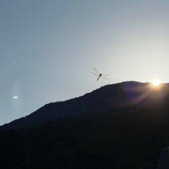 薬師岳