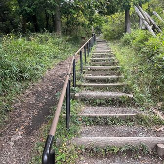 階段道を進み