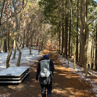 ユーザーみみし